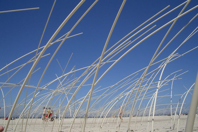 Oerol in Terschelling
